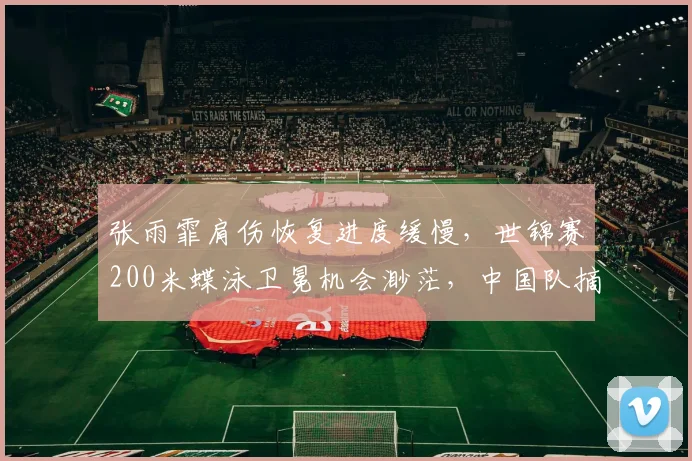 张雨霏肩伤恢复进度缓慢，世锦赛200米蝶泳卫冕机会渺茫，中国队摘金希望何在？